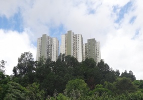 Colegio Americano,Caracas,Gran Caracas,3 Bedrooms Bedrooms,2 BathroomsBathrooms,Apartamento,El Naranjal torre D,Colegio Americano,1013